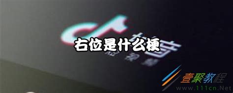 右位 意思|网络语右位是什么意思